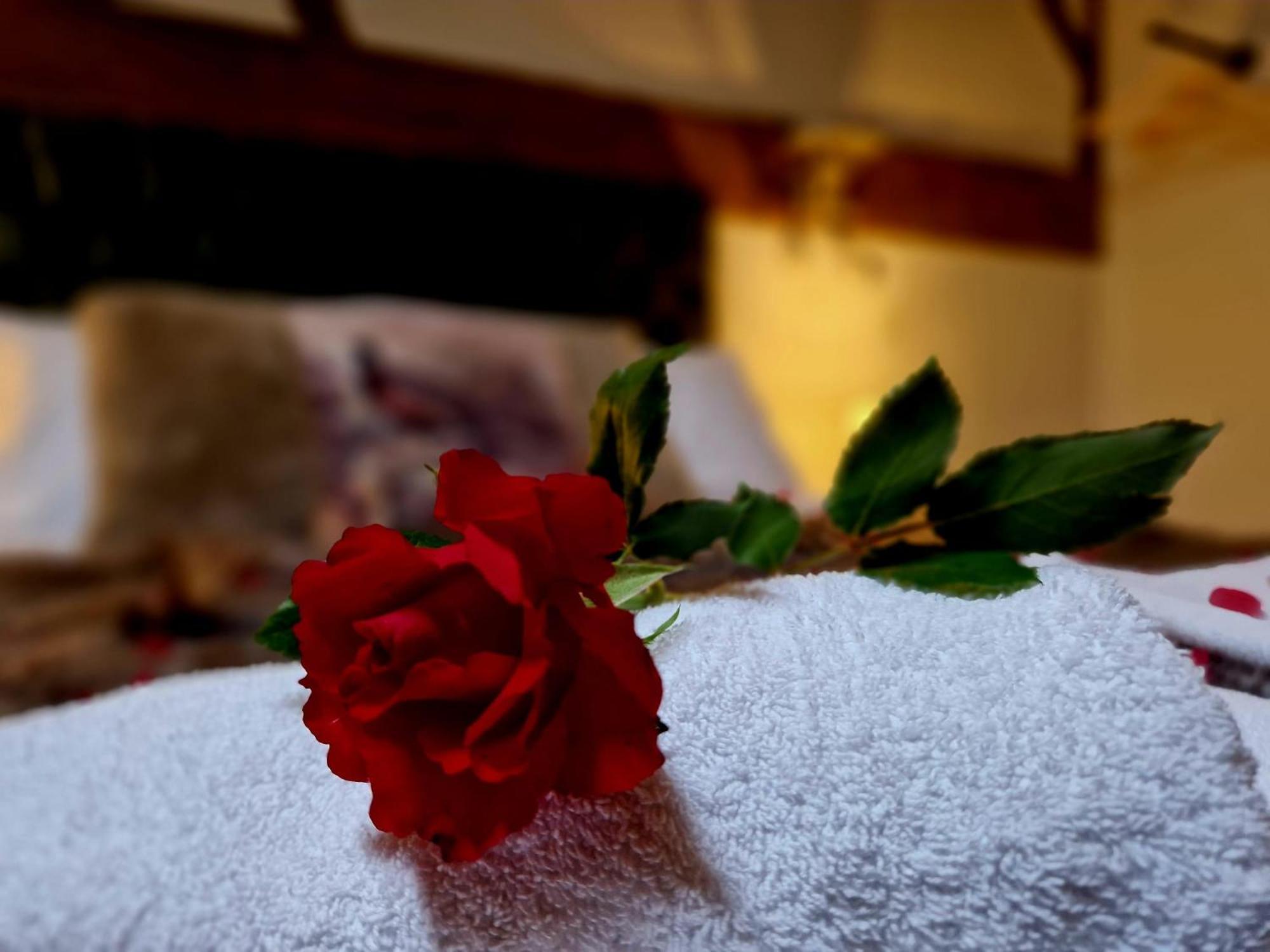 The Hamilton - The Studio Luxury Holiday Let'S Scorton  Екстериор снимка